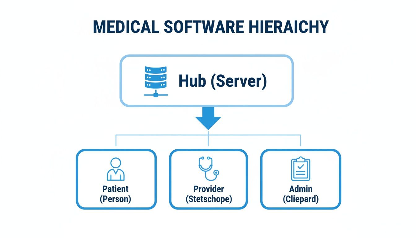 A diagram illustrating medical software hierarchy, showing a central server connecting to patient, provider, and admin roles.