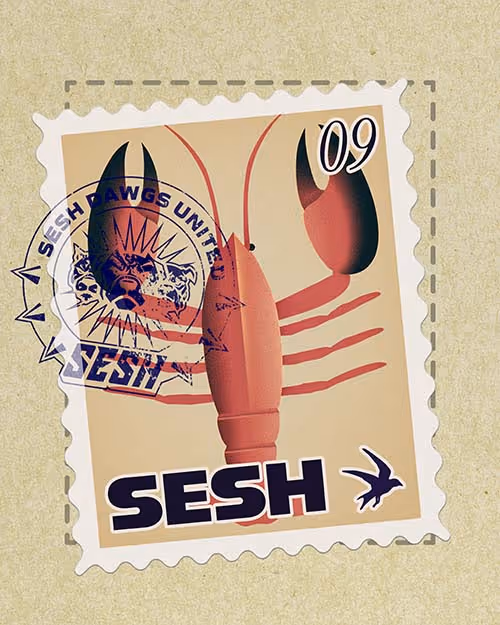 SESH beim Feel Festival 2026