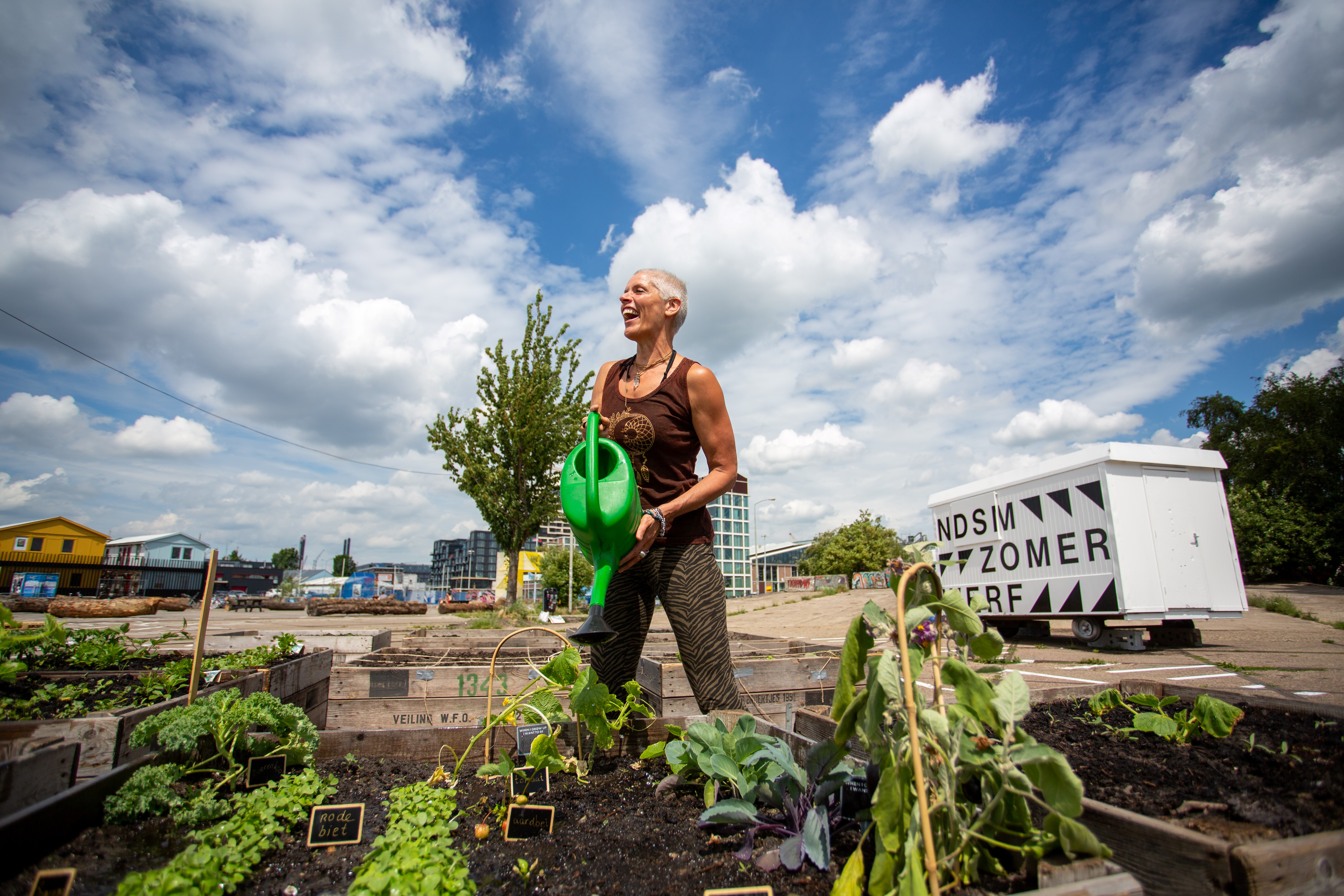 Stichting NDSM-werf zoekt Tuinierders
