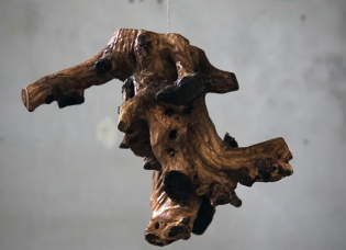 HELLING X (RE)PRESENTS WUNDERKAMMER