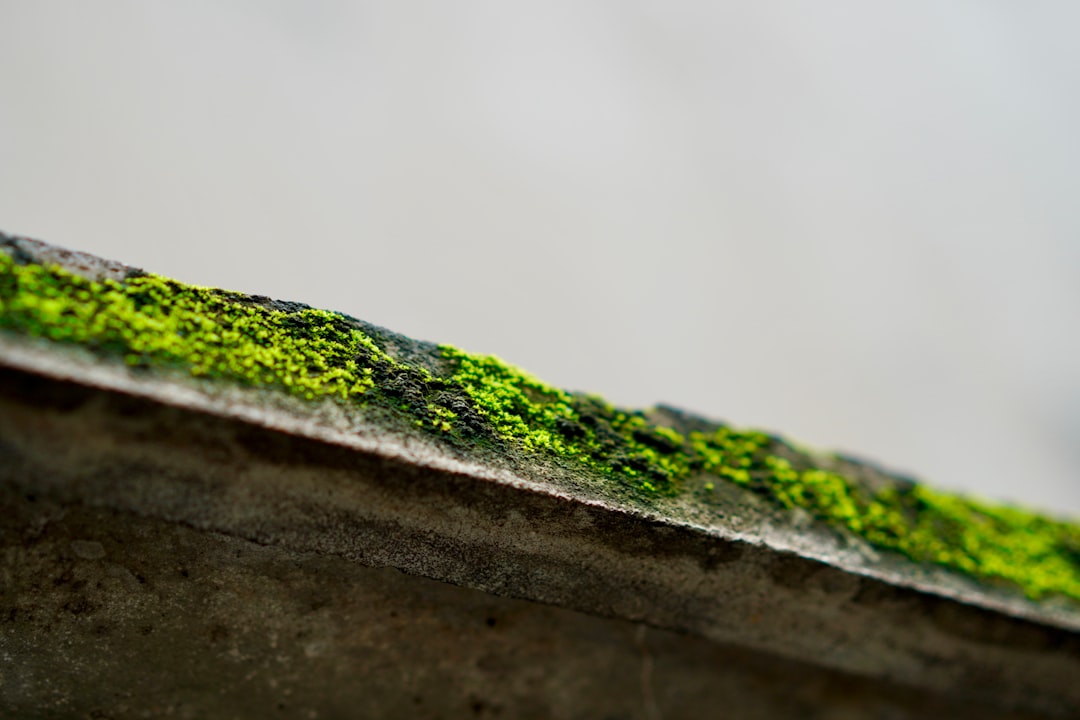 drip edge profiles - replace drip edge drip edge profiles - replace drip edge