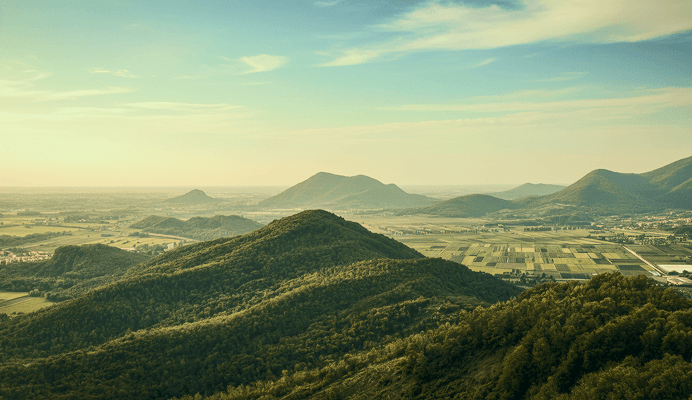 Green hills and fields