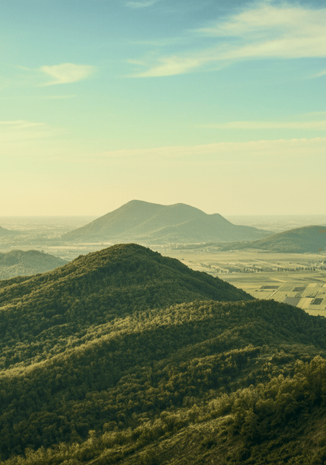 Green hills and fields