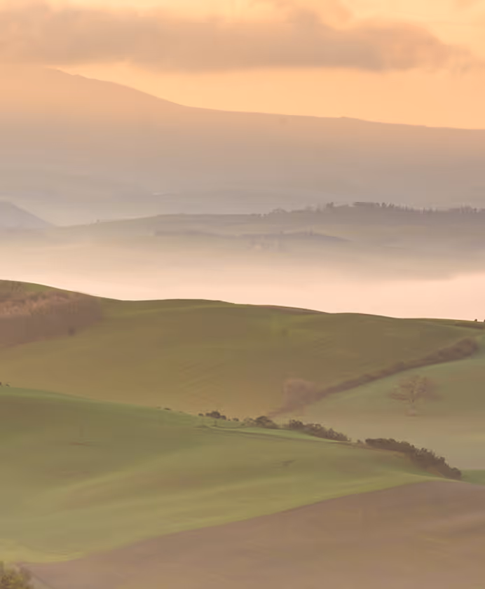 Mist-covered rolling green hills under a soft orange sky at dawn or dusk.
