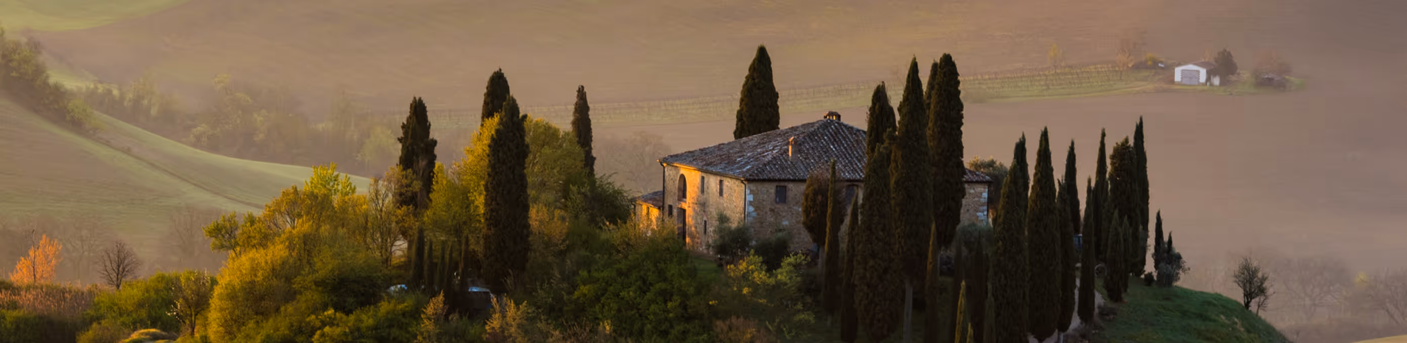 Stone house surrounded by tall cypress trees and lush greenery in a misty hilly landscape.
