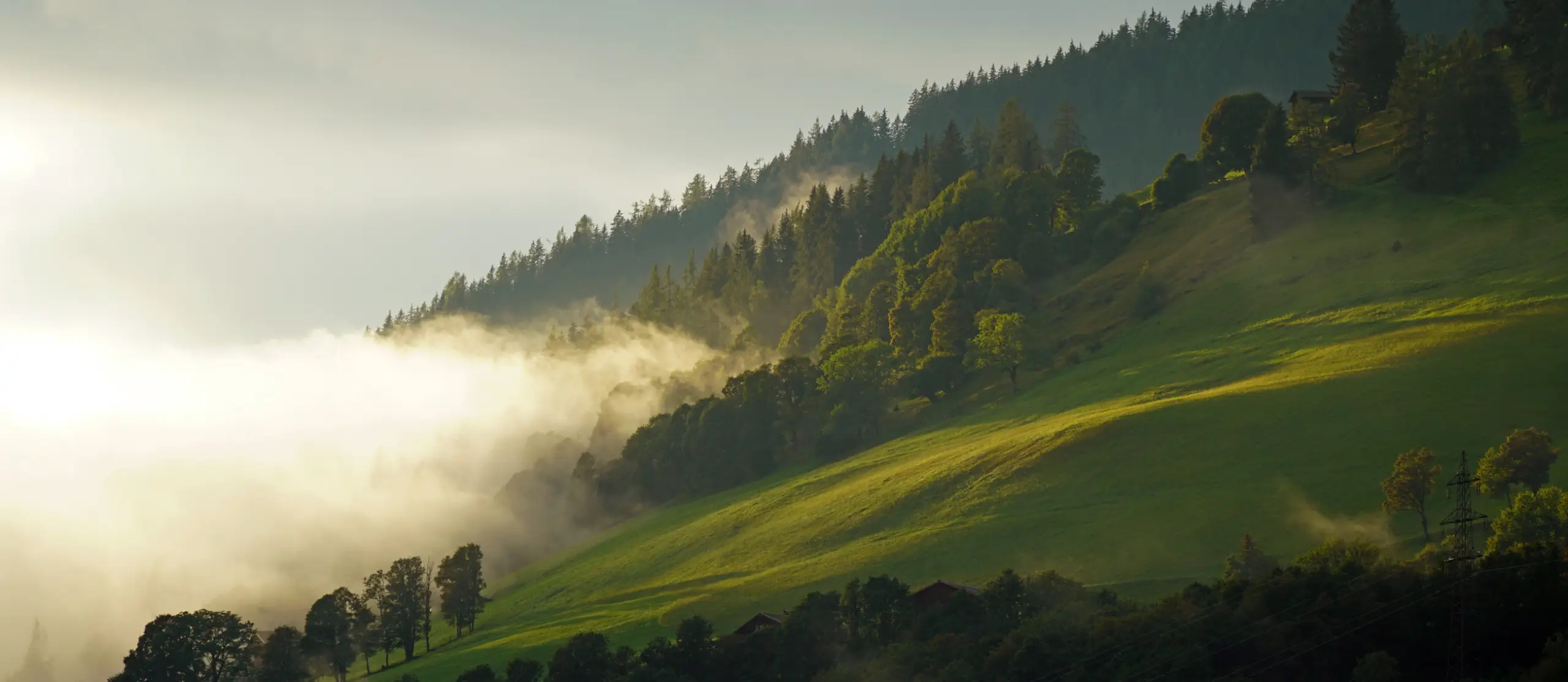 Mist rising over a sunlit green hillside with a forested ridge in the background.