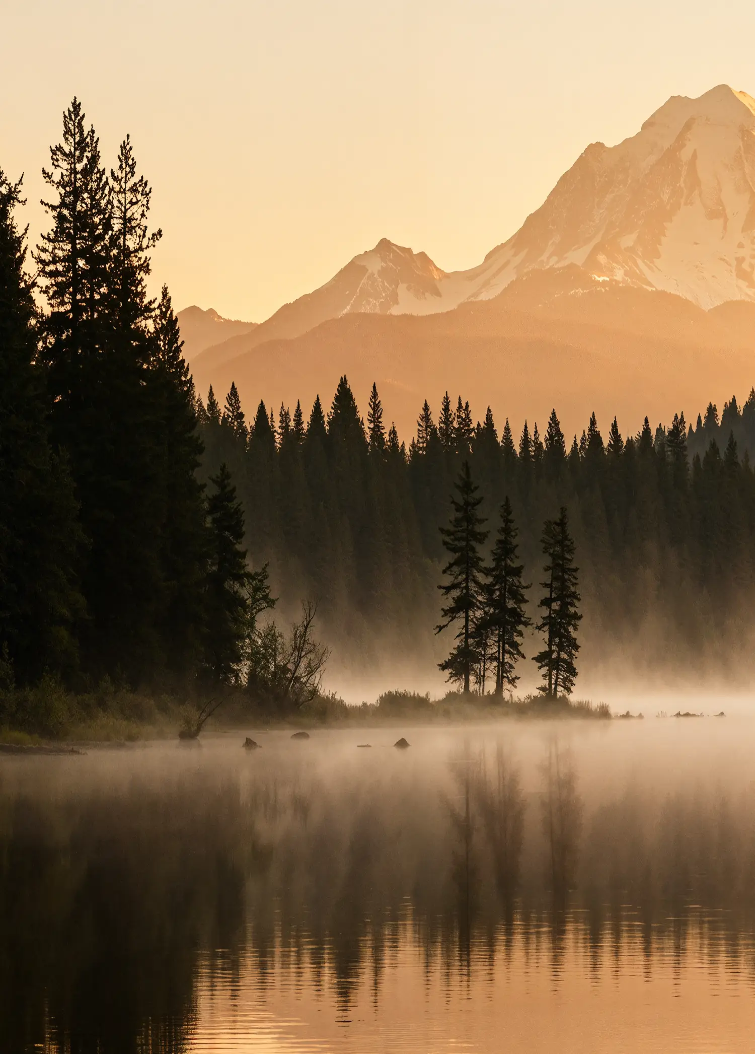 Misty lake at sunrise with pine trees along the shore and snow-capped mountains in the background.