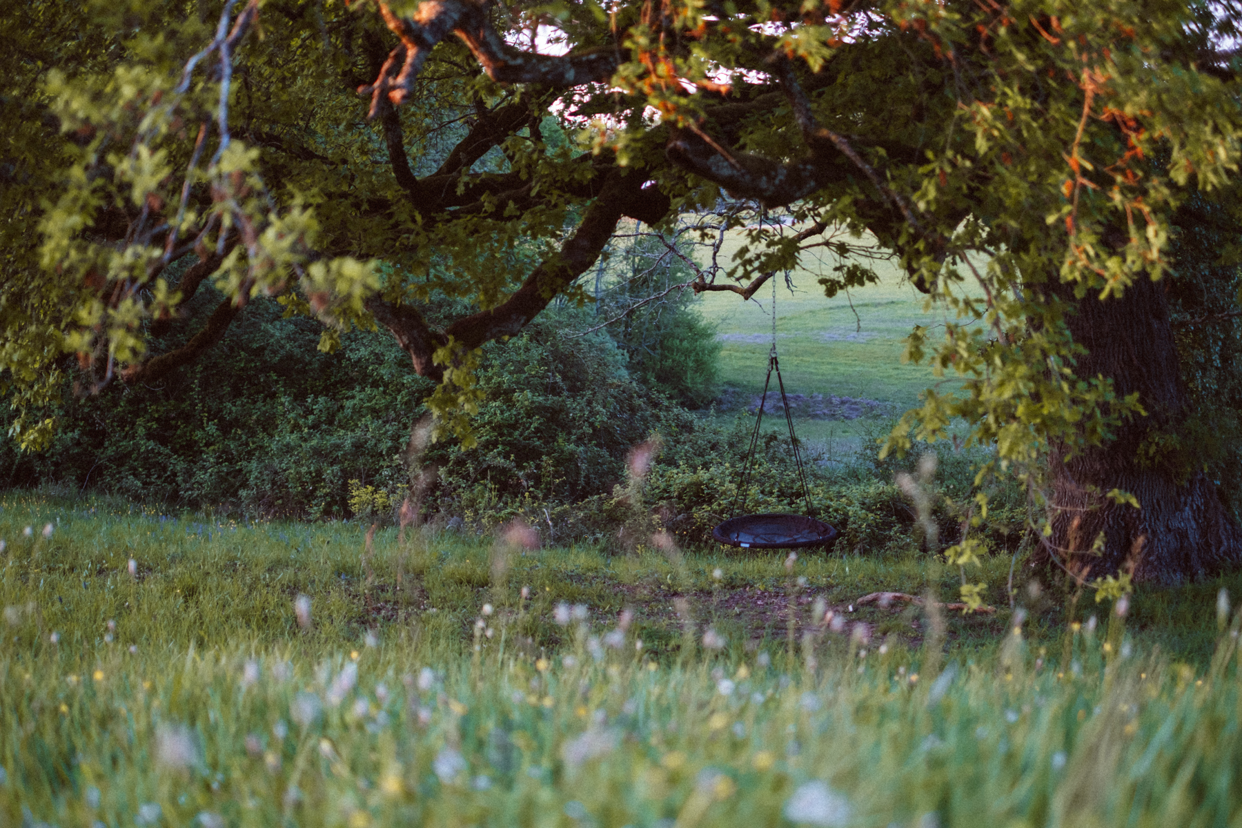A man sitting in the room in old romantic cottage