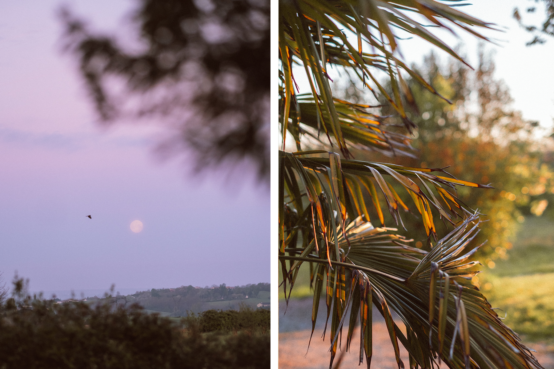 A man sitting in the room in old romantic cottage