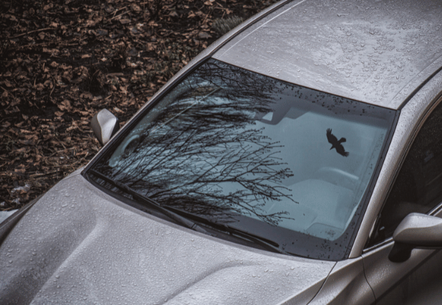 Pflege bei jedem Wetter – Schutz für Lack und Felgen