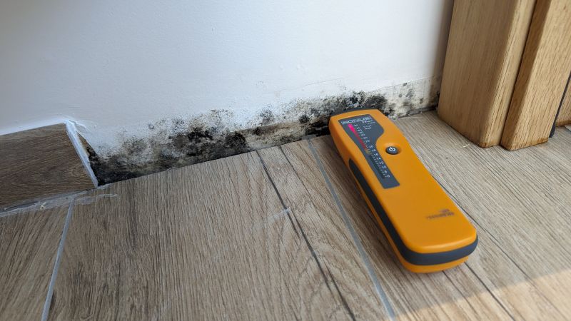 Un humidimètre orange est placé sur un sol bois, près de moisissures noires qui se développent au pied d'un mur blanc.