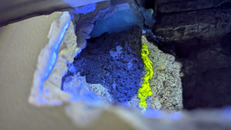 Gros plan sur un mur ou un plafond fissuré montrant la présence de minéraux fluorescents bleus et jaunes ou de moisissures à l'intérieur de la cavité.