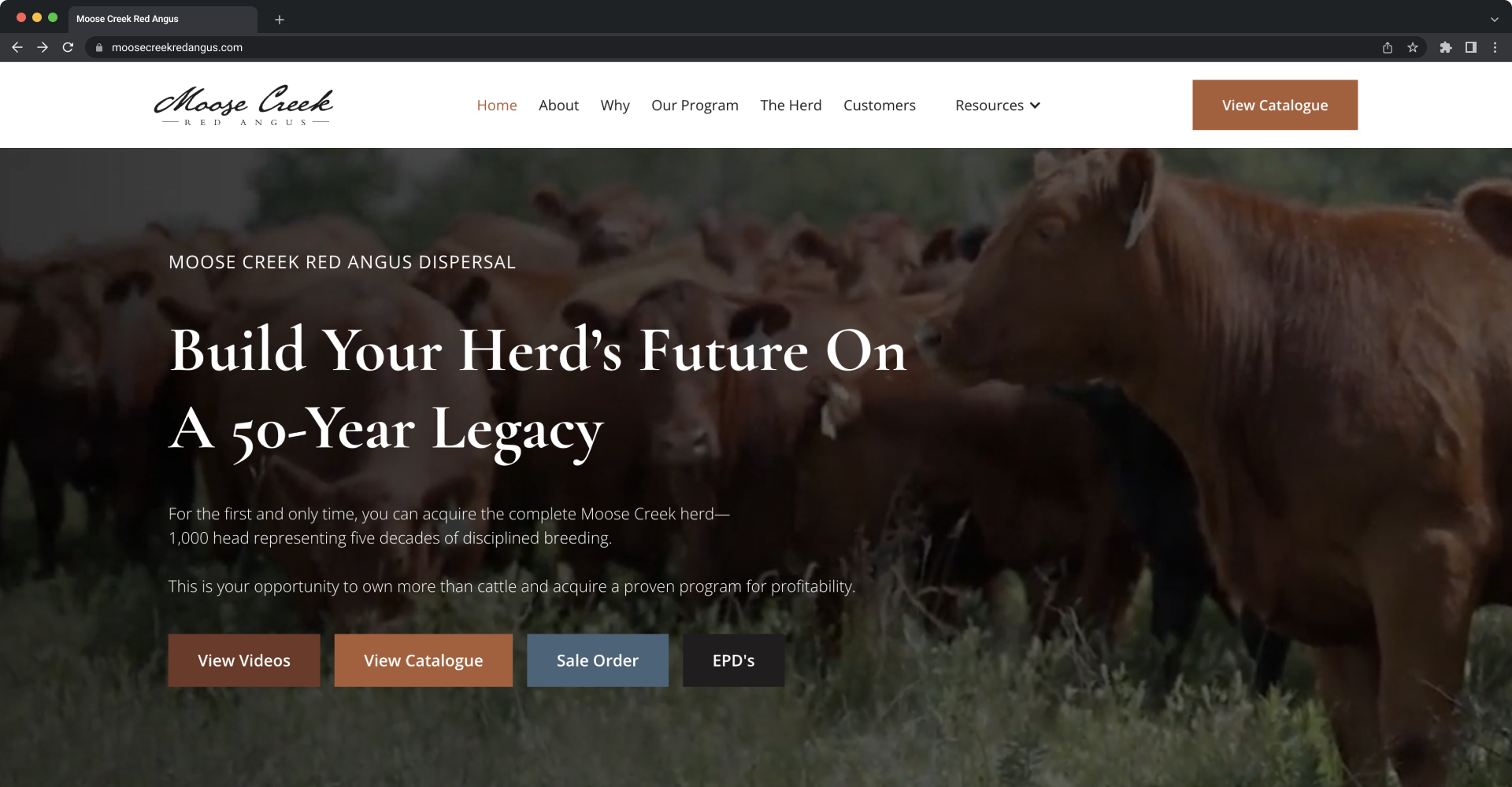 Moose Creek Red Angus