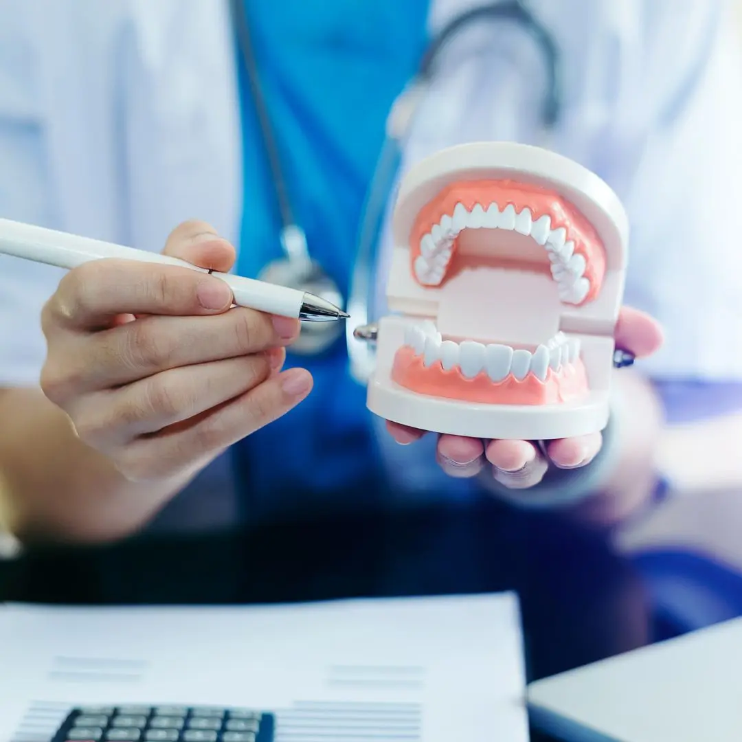 A healthcare professional holds a dental model, pointing to its features with a pen, surrounded by medical paperwork.