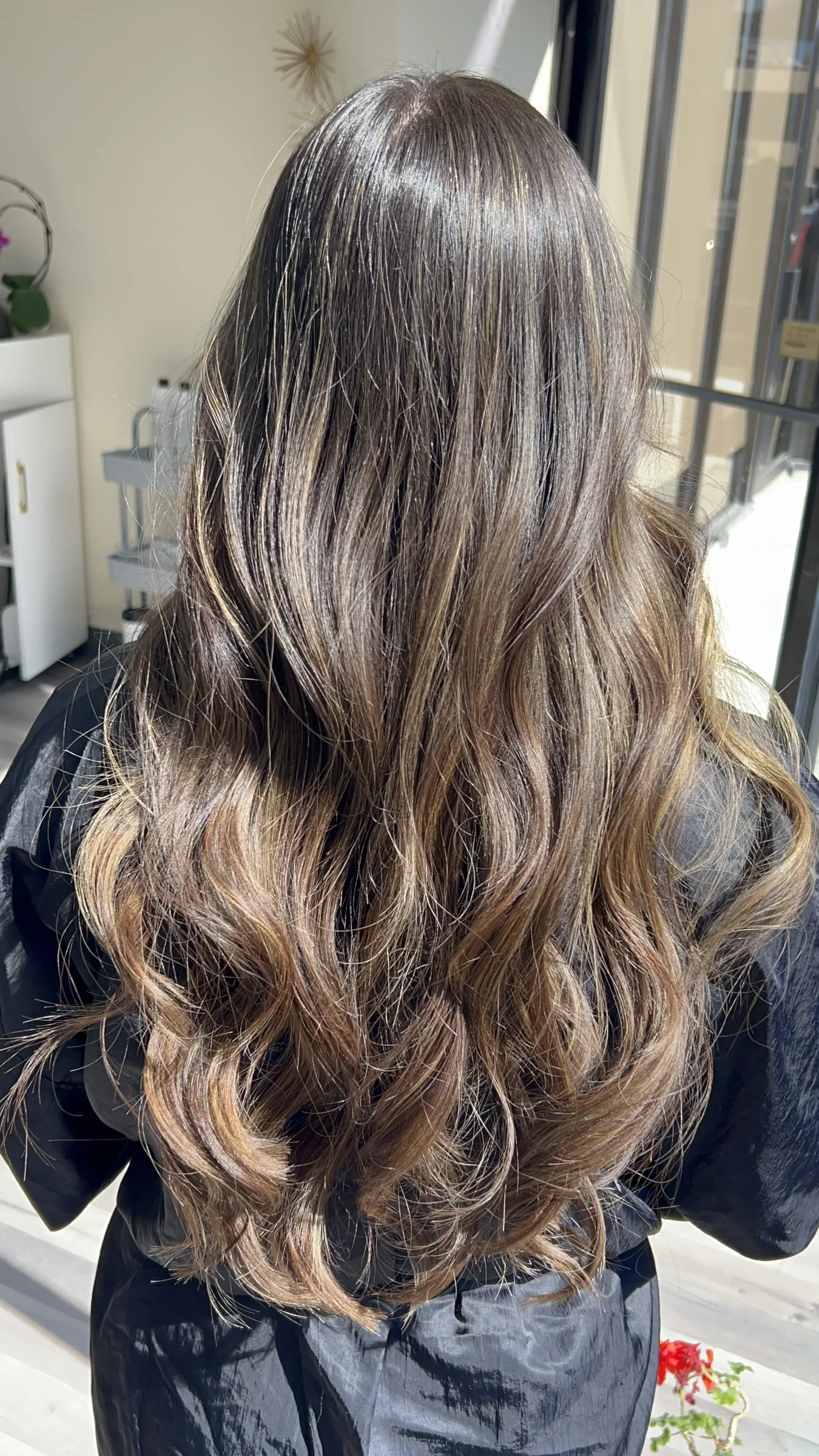 Long wavy brown hair with soft highlights viewed from the back in natural light.