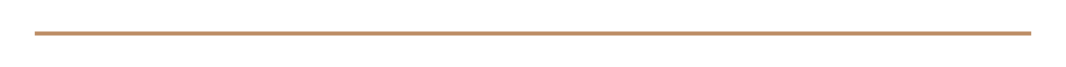 Thin horizontal gold line on a white background.