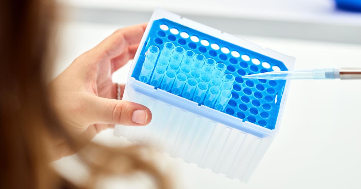 Cookies University: Cultivating Equity Through Education and Empowerment