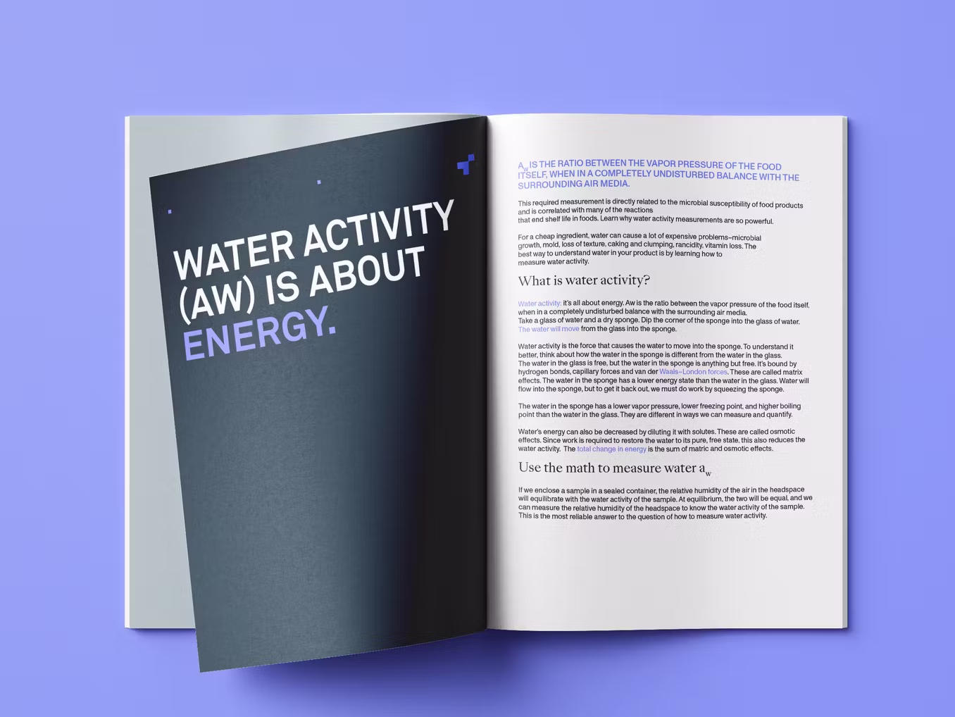 Cookies University: Cultivating Equity Through Education and Empowerment