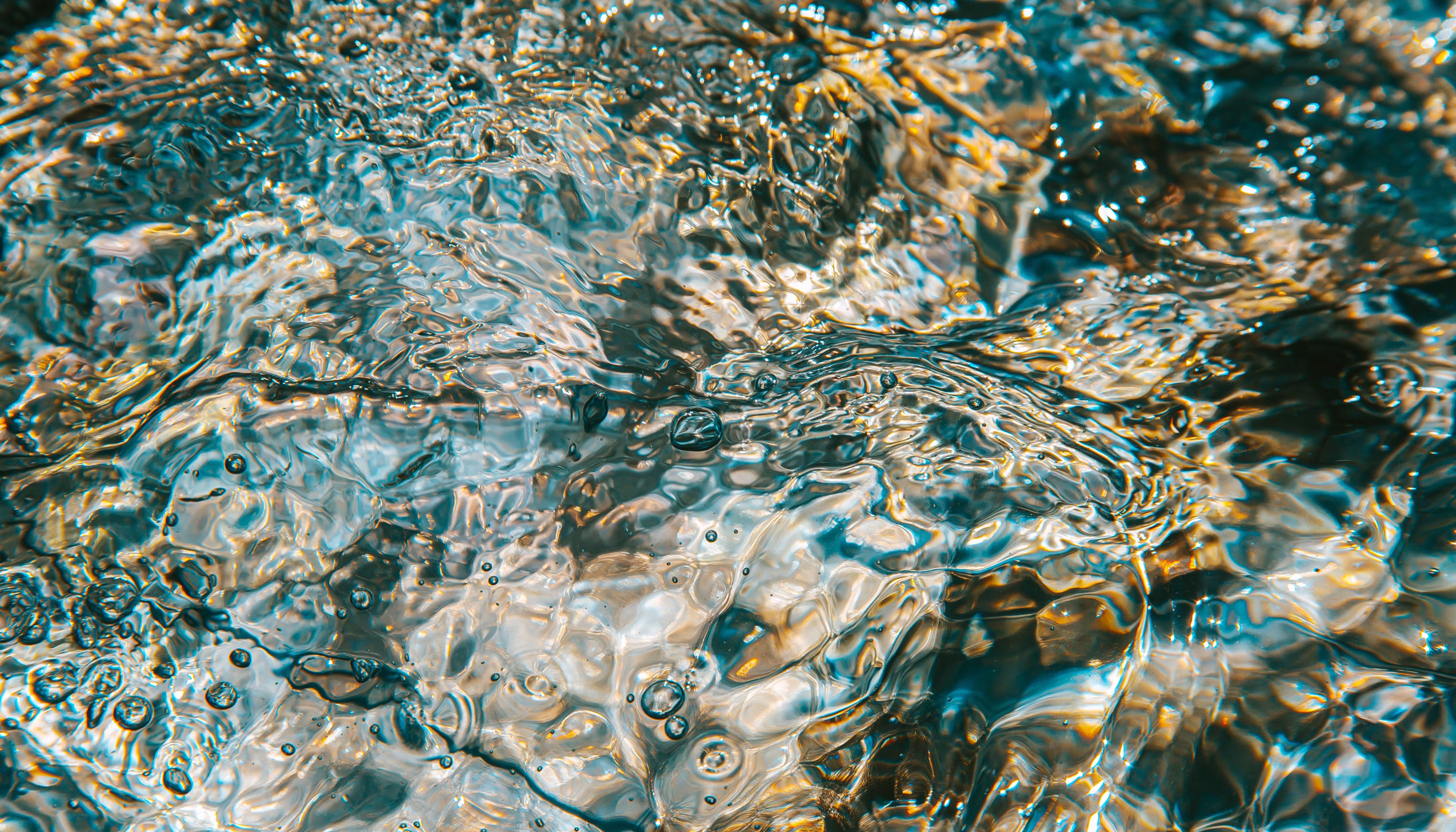 Water activity definition