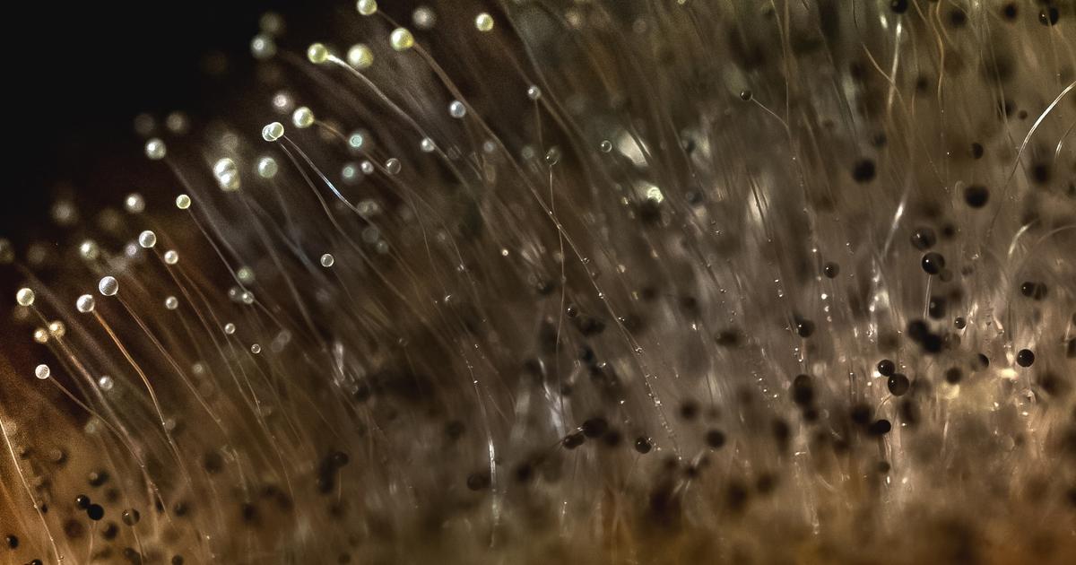 Predict packaging performance to maximize product shelf life