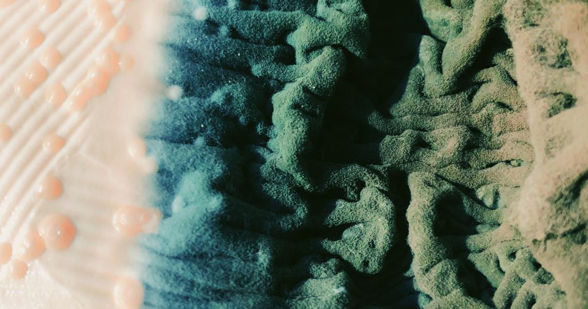 Real-time data for process control in food manufacturing