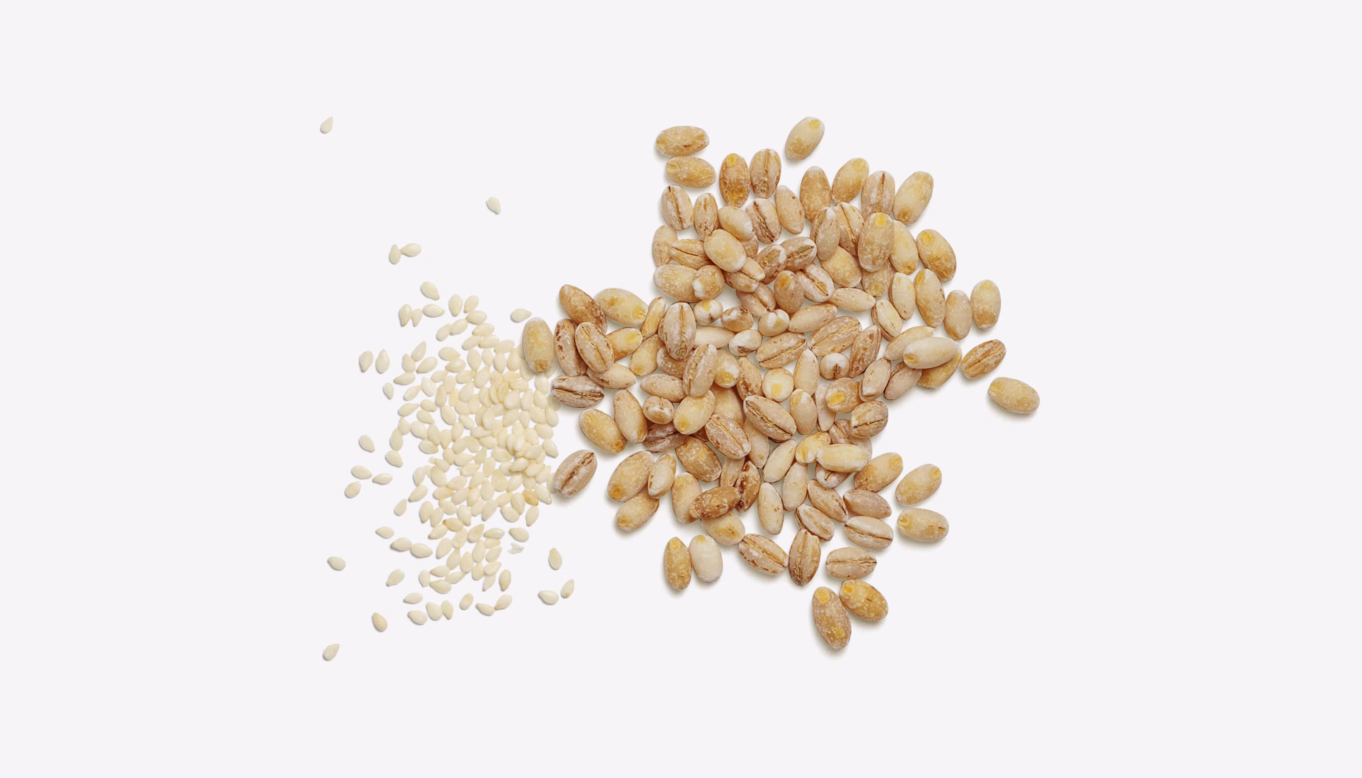 Introduction to water activity (aw): The beginner's guide to water activity's role in food production