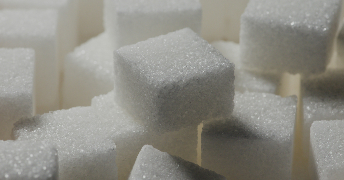 Cookies University: Cultivating Equity Through Education and Empowerment