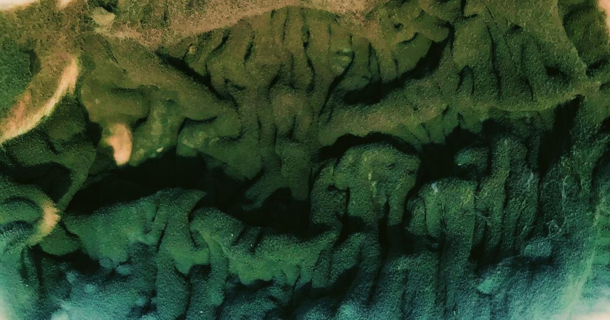 Come controllare l'ossidazione dei lipidi nella produzione alimentare