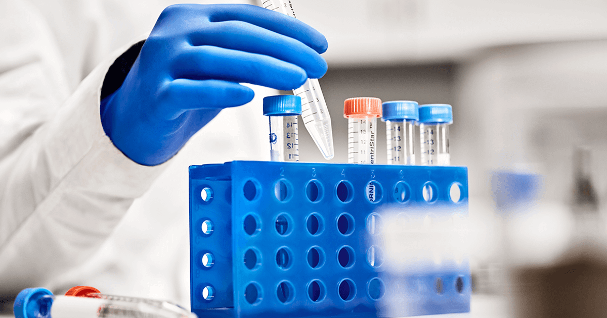 Cookies University: Cultivating Equity Through Education and Empowerment