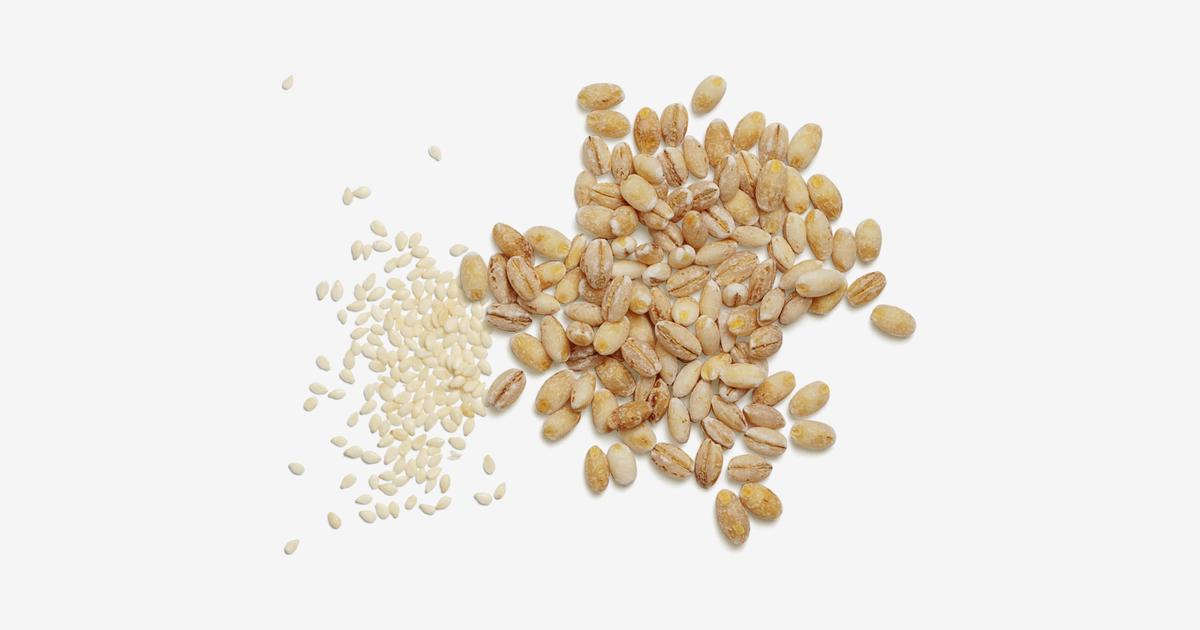 Cookies University: Cultivating Equity Through Education and Empowerment