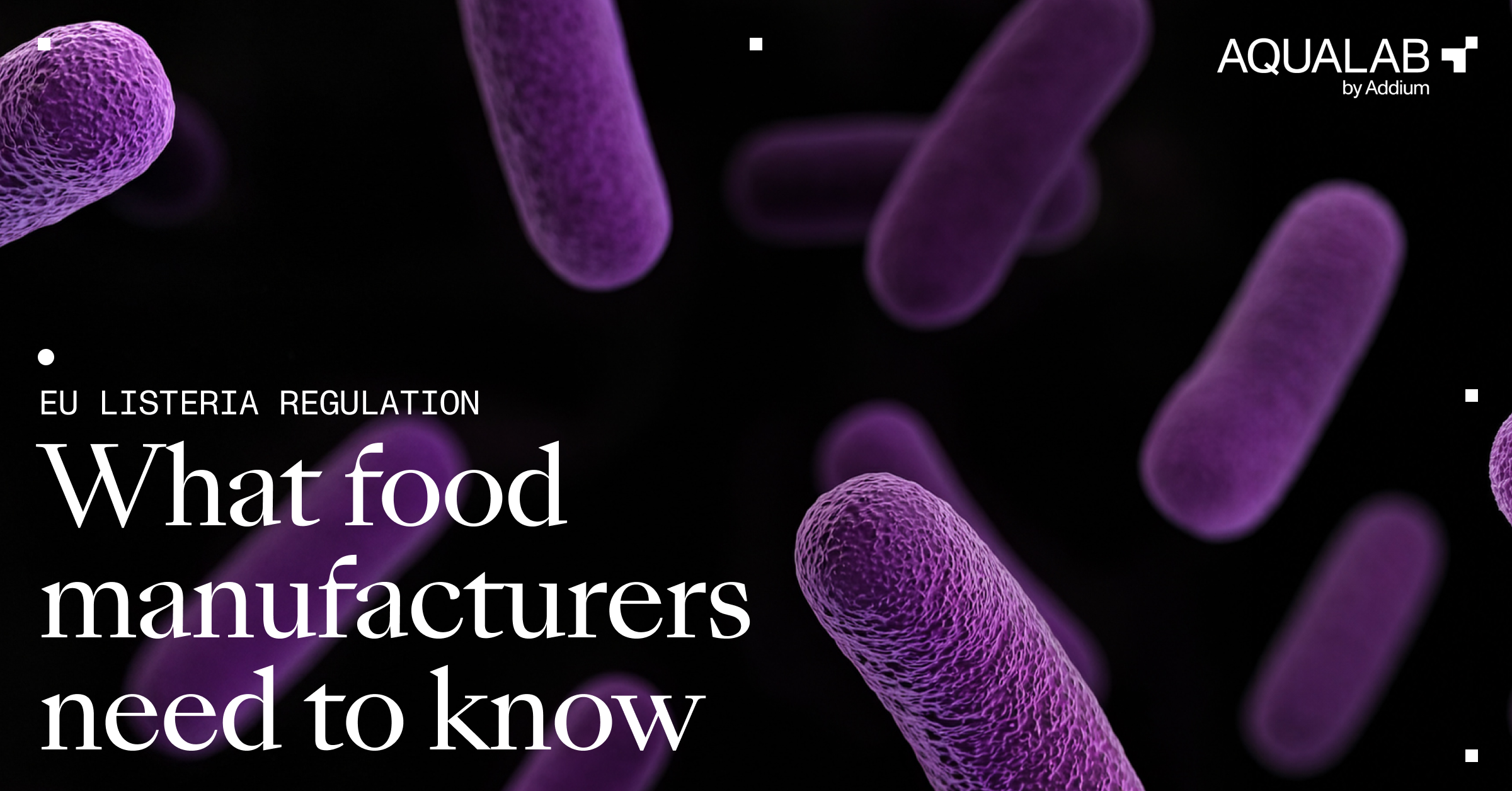 Regolamento UE n. 2024/2895 sulla Listeria: cosa devono sapere i produttori alimentari