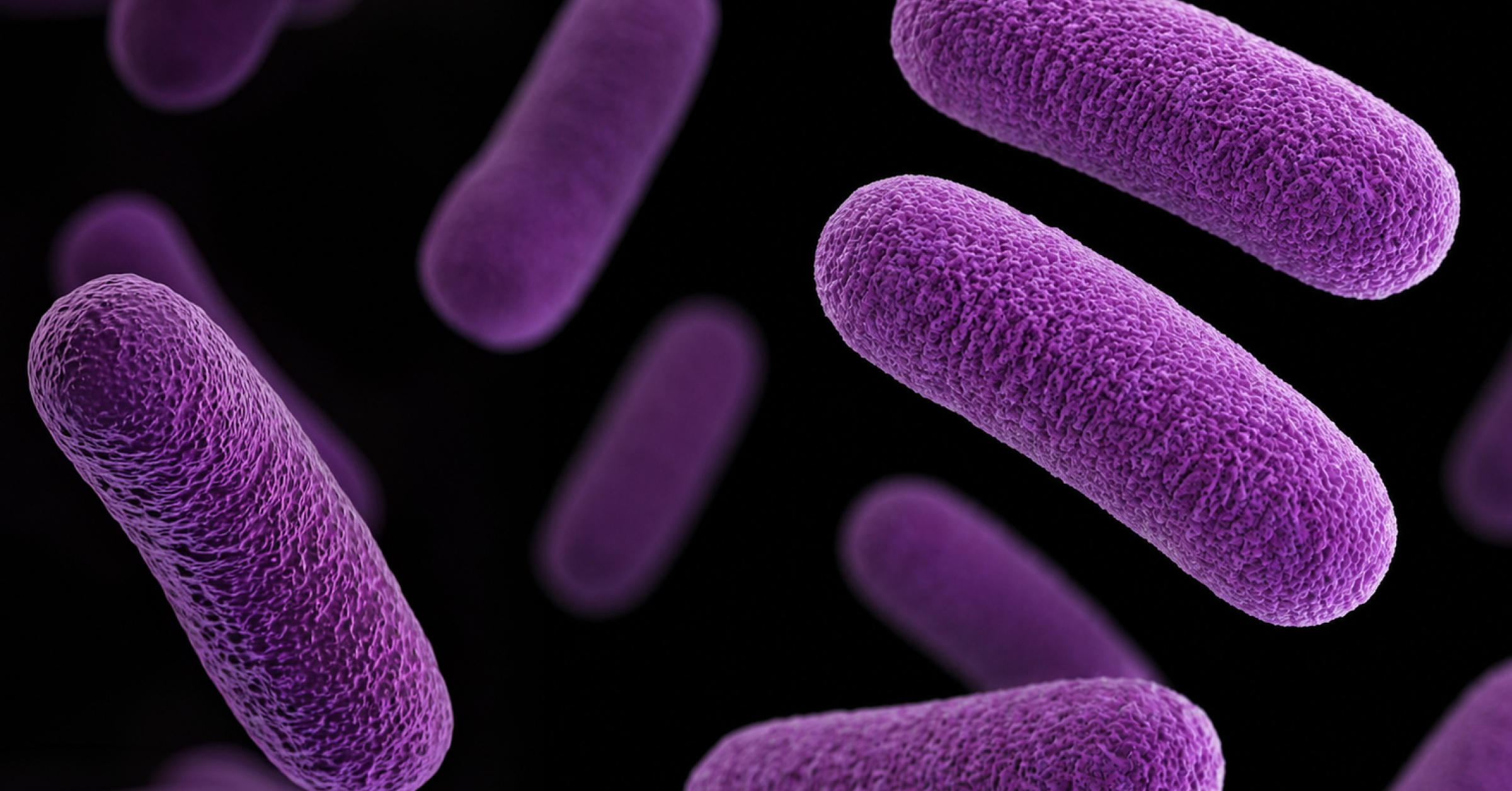 Tecnico alimentare impegnato nella misurazione dell'attività dell'acqua di un prodotto pronto al consumo ai fini della conformità alla normativa UE 2024/2895 sulla Listeria in materia di durata di conservazione