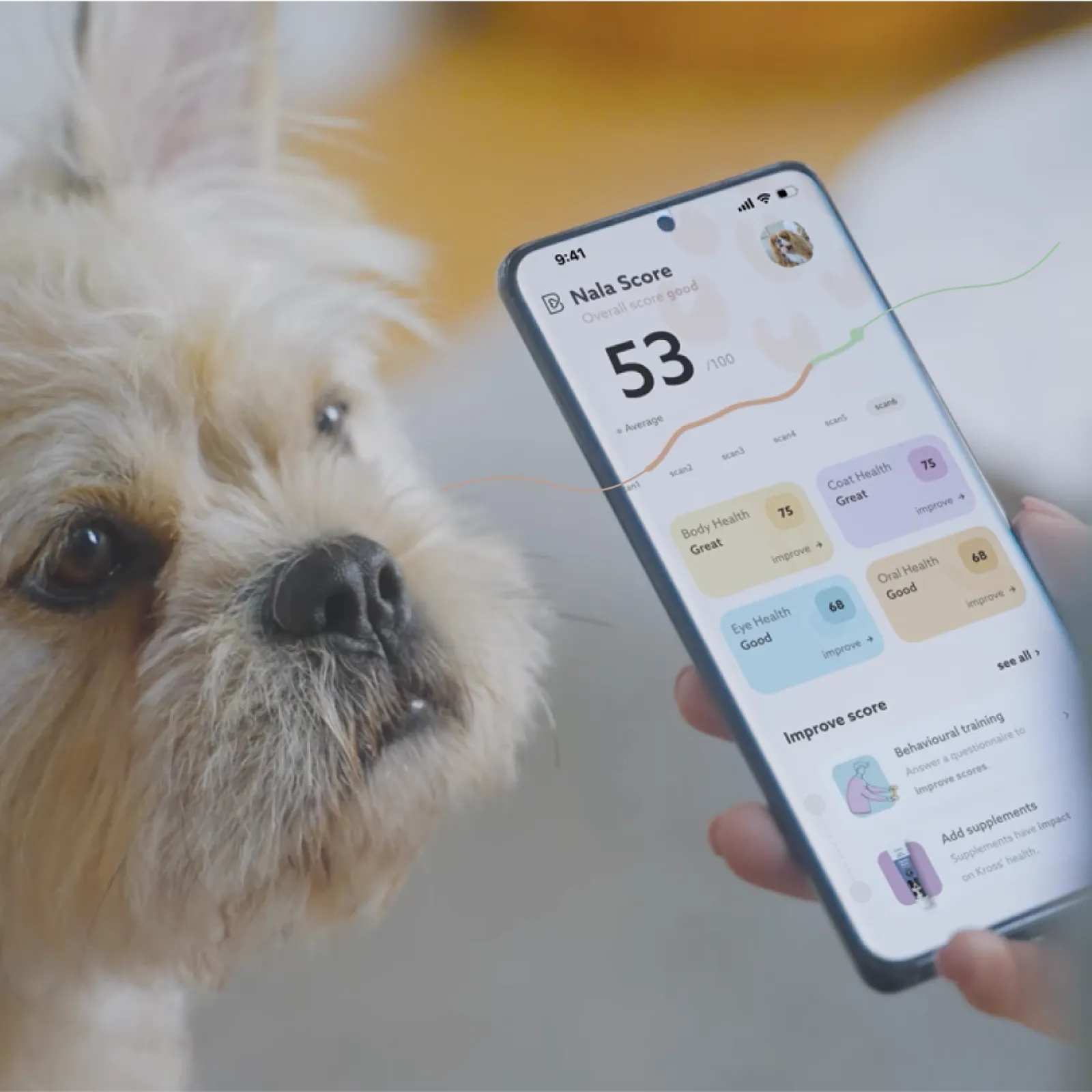 AI-powered pet health app shown on a phone with a dog