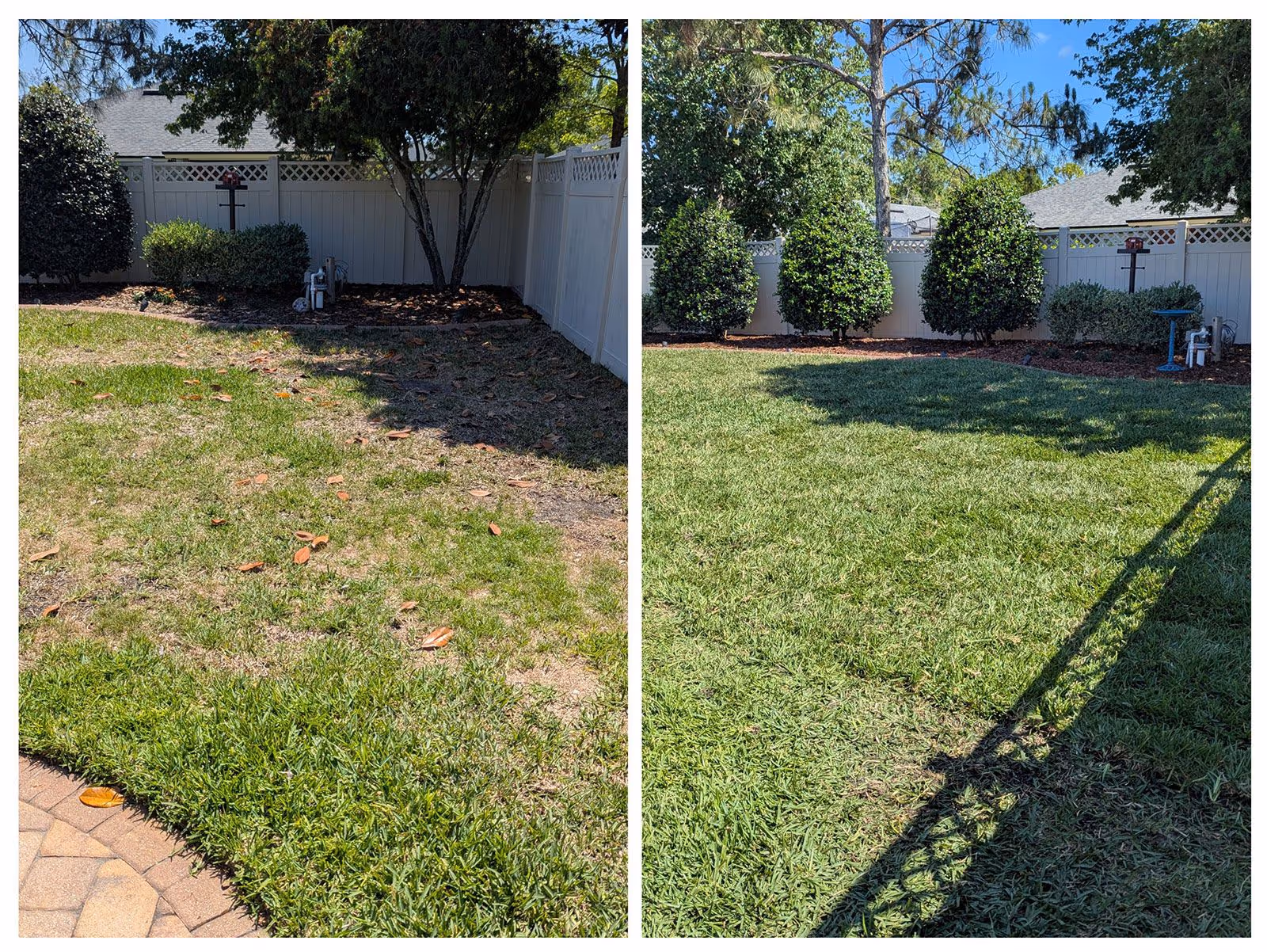 Lawn pest and disease prevention program by Clean Cut Curb Appeal Plus