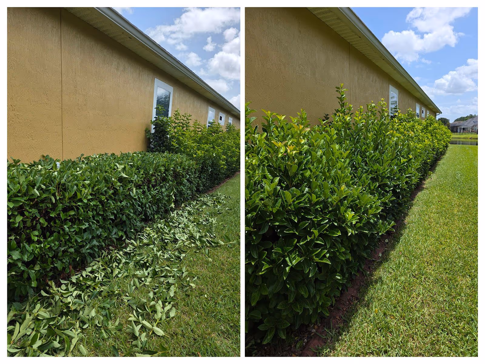 Before and after curb appeal improvement St. Augustine lawn care