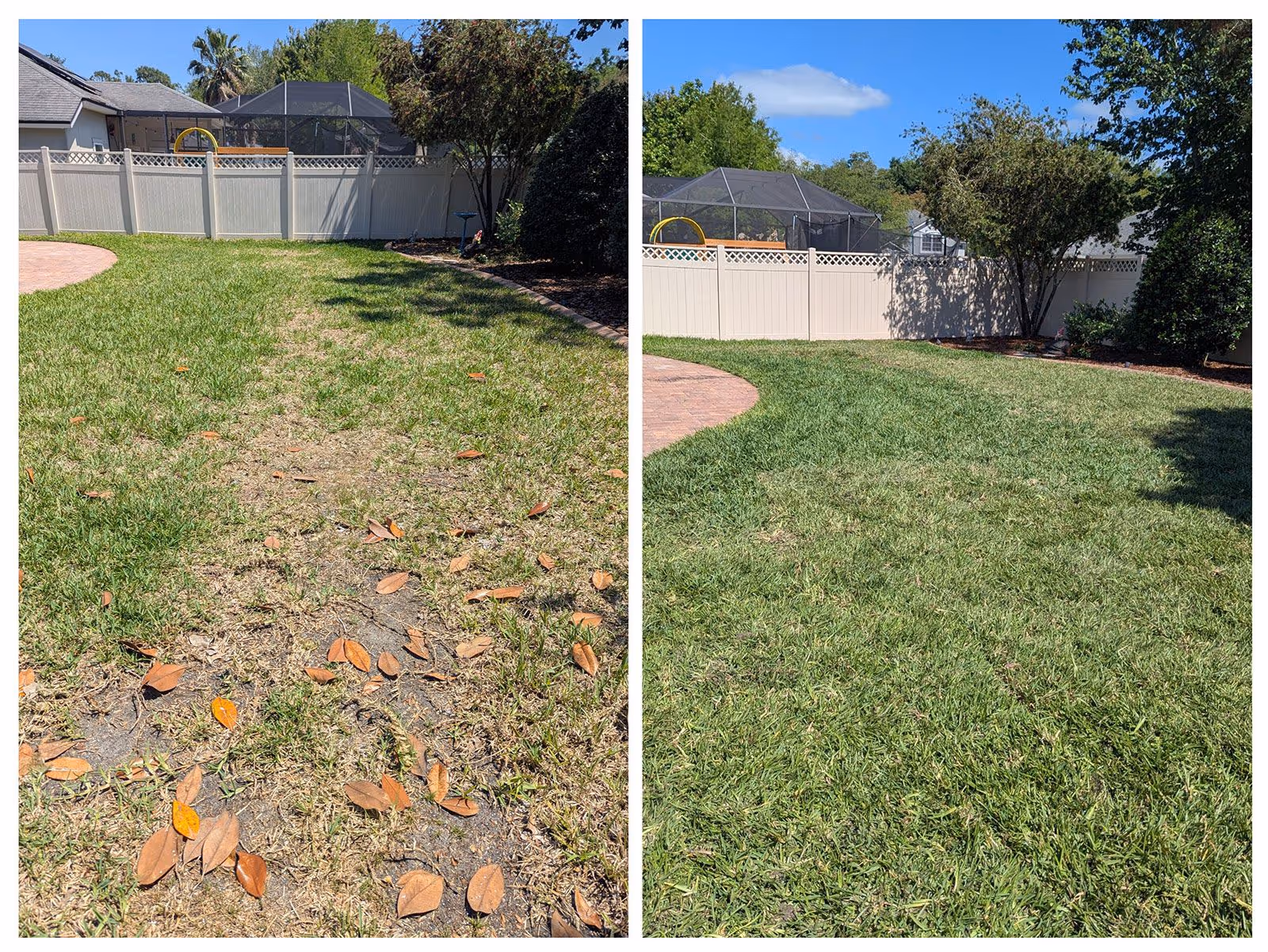 Florida lawn makeover before and after by Clean Cut Curb Appeal Plus