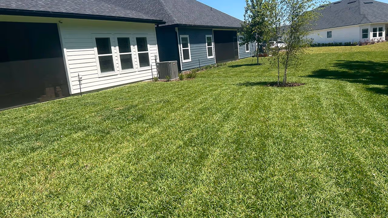 Residential lawn mowing near me by Clean Cut Curb Appeal Plus