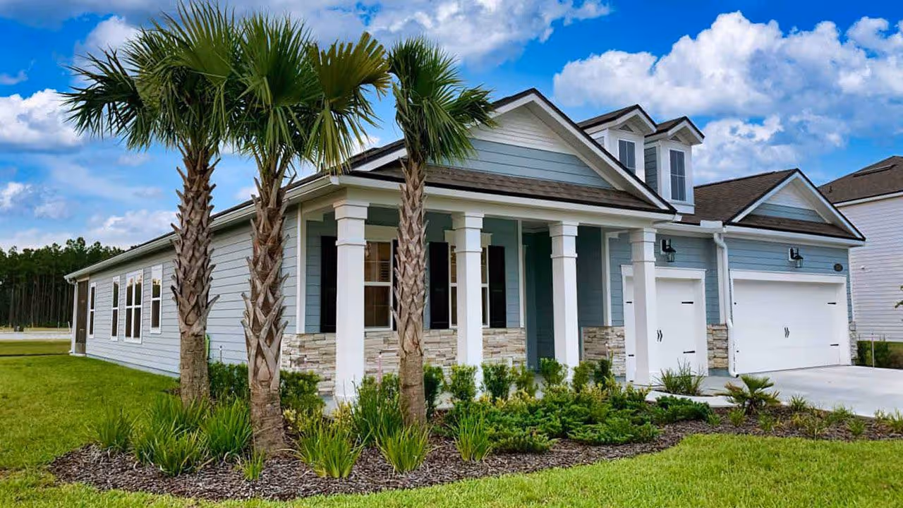 Tree and plant installation in Florida yard by Clean Cut Curb Appeal Plus