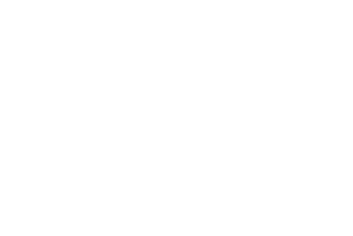 LA Film Awards Official Selection
