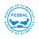 Fesbal