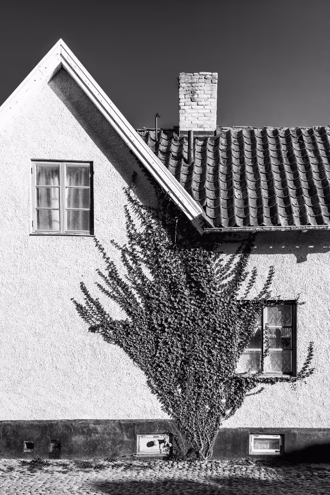 Schwarz-weiß-Foto eines Hauses mit spitzem Dach, Kletterpflanzen an der Fassade und zwei Fenstern.