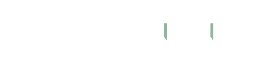 Phynance logo light