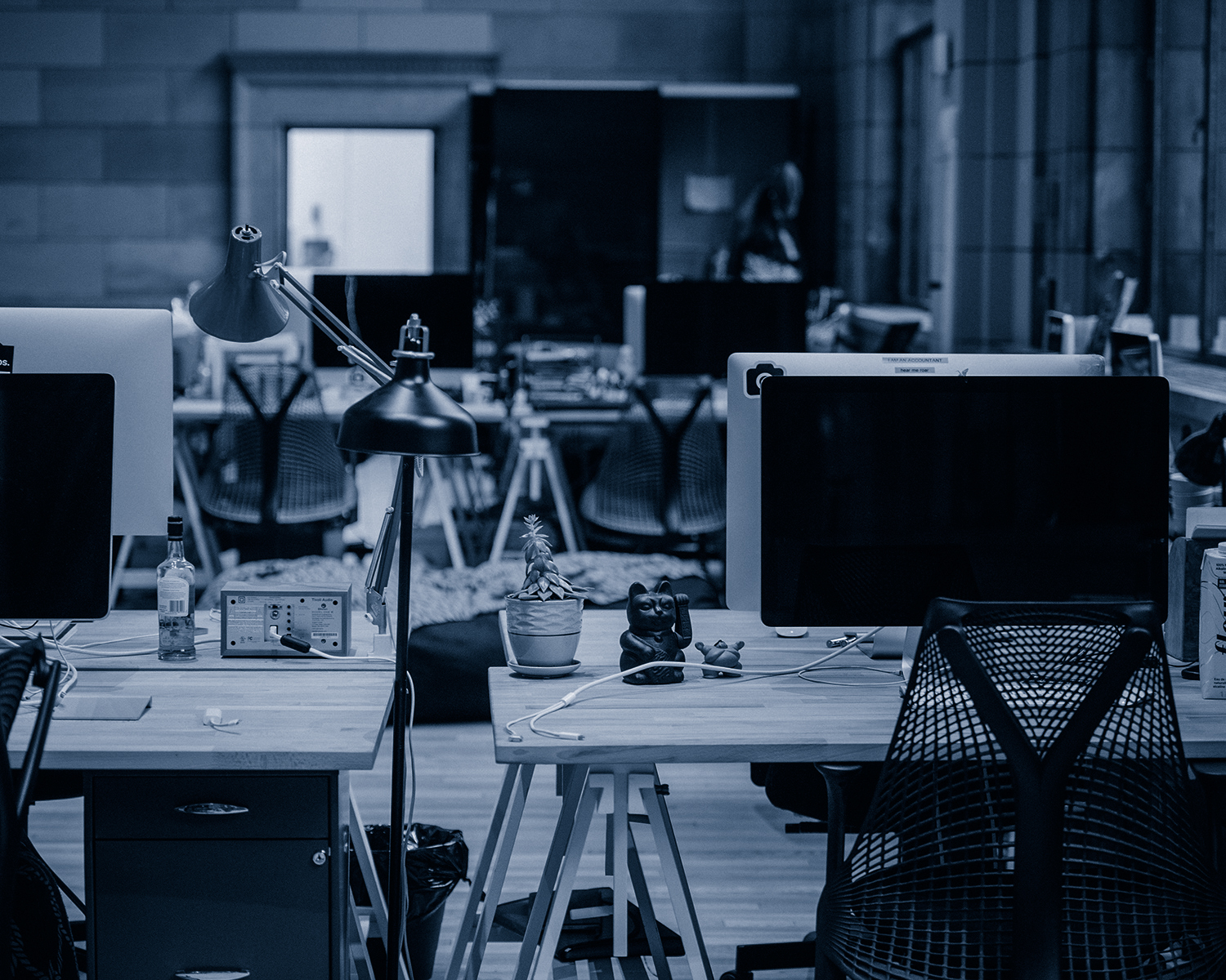 Modern office workspace with multiple desks, computers, mesh chairs, a desk lamp, a potted succulent, and a lucky cat figurine.