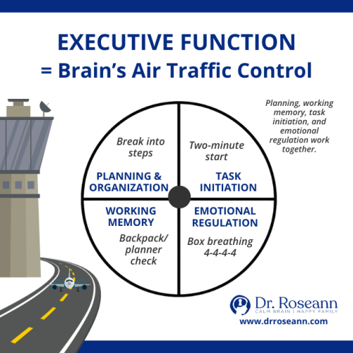 Infographic explaining executive function as the brain's air traffic control, with tips on how to help with executive functioning skills like planning, task initiation, working memory, and emotional regulation.