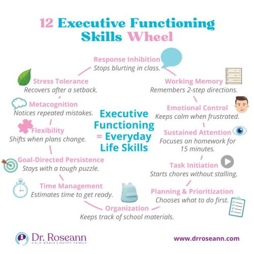 An infographic titled "12 Executive Functioning Skills Wheel," defining executive functioning as "Everyday Life Skills." It illustrates and describes twelve key skills: Response Inhibition, Working Memory, Emotional Control, Sustained Attention, Task Initiation, Planning & Prioritization, Organization, Time Management, Goal-Directed Persistence, Flexibility, Metacognition, and Stress Tolerance.