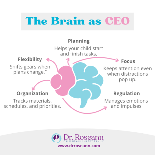 Infographic titled “The Brain as CEO” showing executive functioning skills: planning, focus, regulation, organization, and flexibility, with arrows connecting brain functions that help children manage tasks, attention, emotions, schedules, and adaptability.