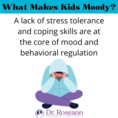 Infographic explaining that low stress tolerance and poor coping skills contribute to moodiness and emotional regulation challenges in children