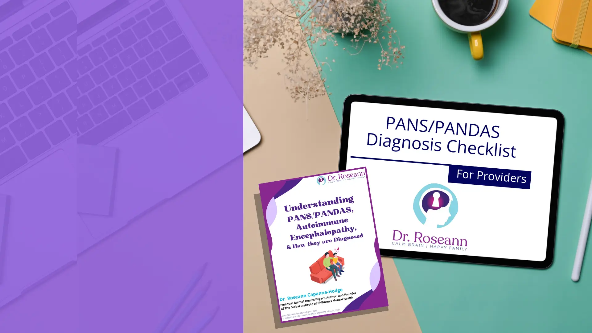 PANS/PANDAS diagnostic checklist for healthcare providers.