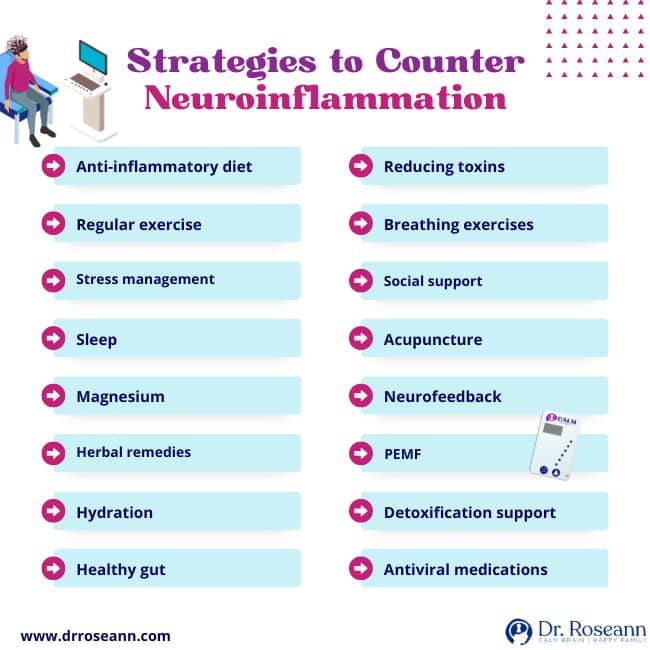 Strategies to Counter Neuroinflammation