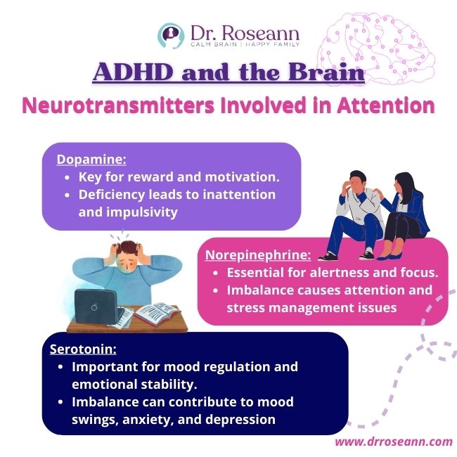 ADHD And The Brain
